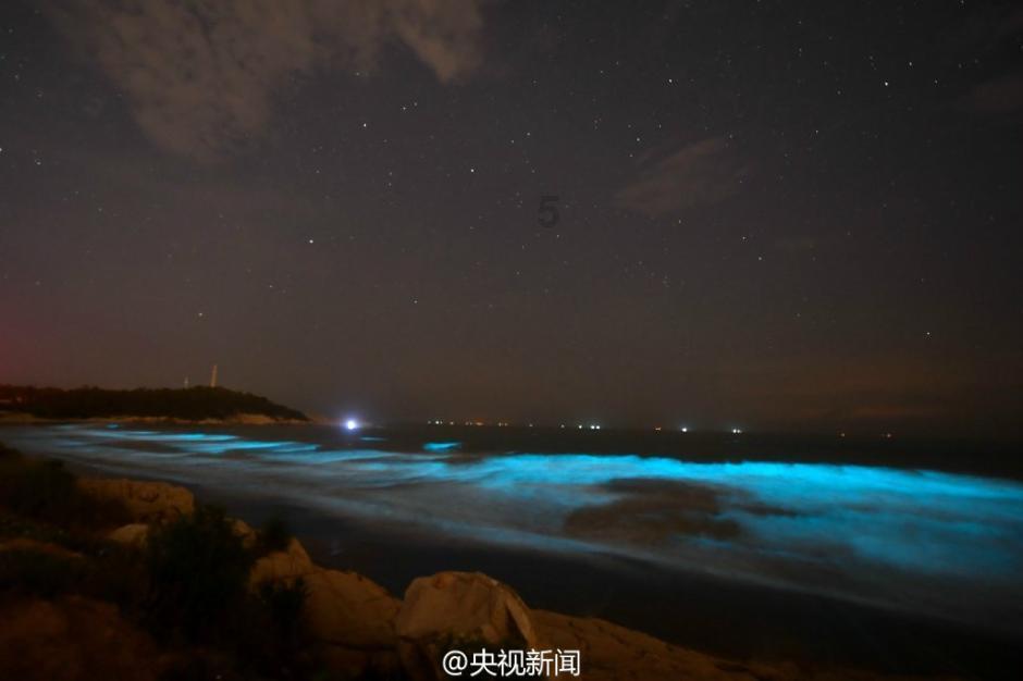 植物大战僵尸：花园战争